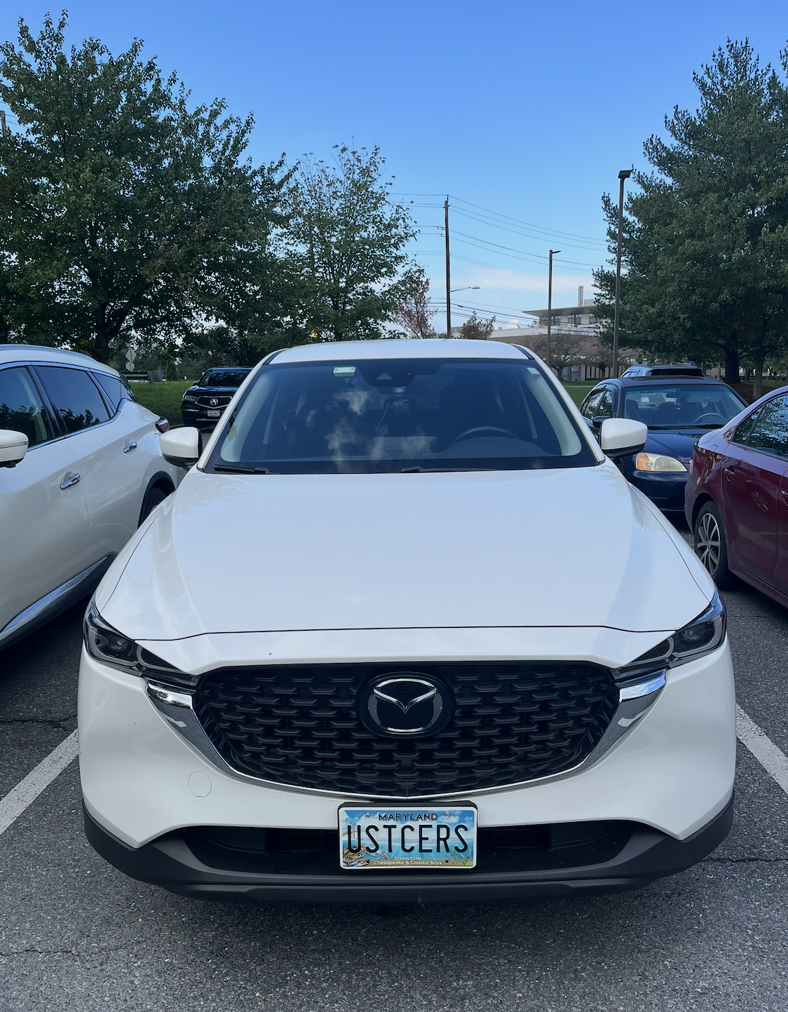 First Car & USTCers License Plate